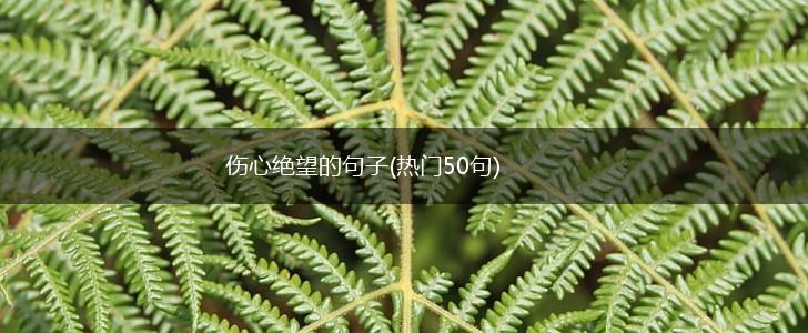 伤心绝望的句子(热门50句),第1张