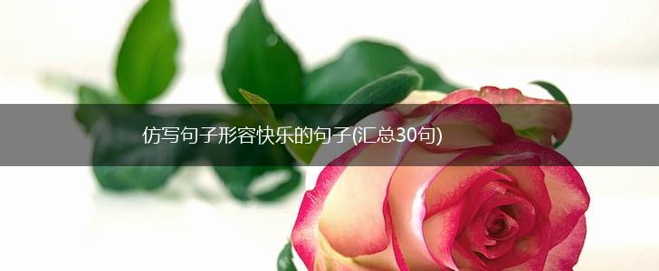 仿写句子形容快乐的句子(汇总30句),第1张