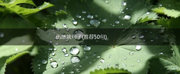 伤感就句子(推荐50句),第1张