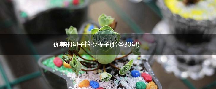 优美的句子摘抄段子(必备30句),第1张