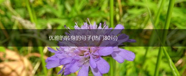 优雅的转身的句子(热门80句),第1张