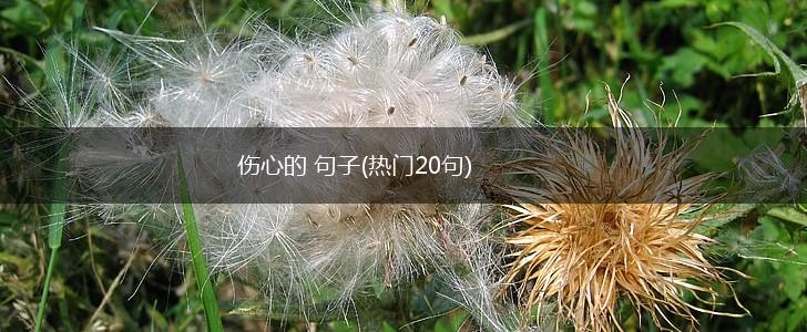 伤心的 句子(热门20句),第1张