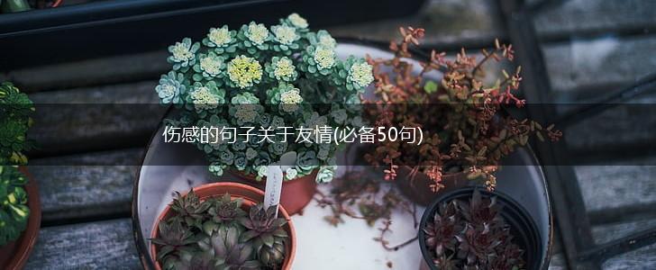 伤感的句子关于友情(必备50句),第1张