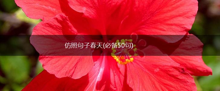 仿照句子春天(必备50句),第1张