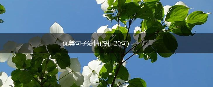 优美句子爱情(热门20句),第1张
