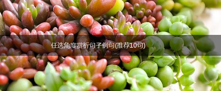 任选角度赏析句子例句(推荐10句),第1张