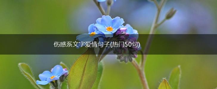 伤感系文字爱情句子(热门50句),第1张