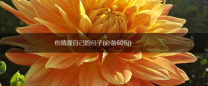 伤情渡自己的句子(必备60句),第1张