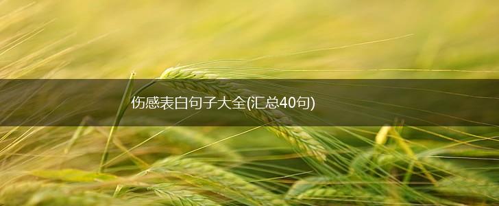 伤感表白句子大全(汇总40句),第1张