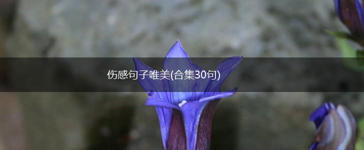 伤感句子唯美(合集30句),第1张
