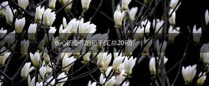 伤心的要死的句子(汇总20句),第1张