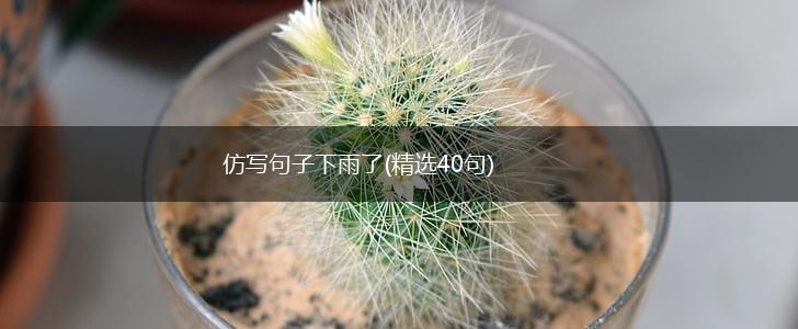 仿写句子下雨了(精选40句),第1张