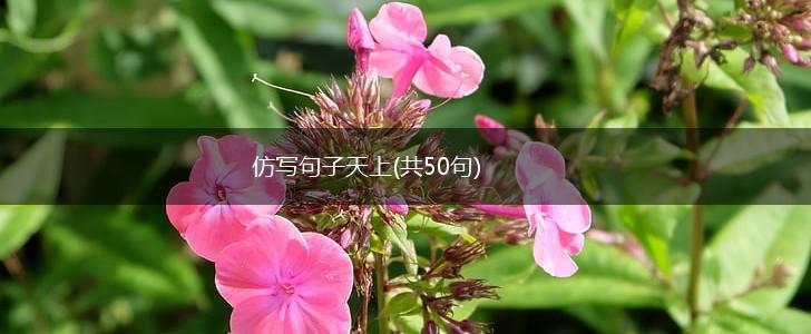 仿写句子天上(共50句),第1张