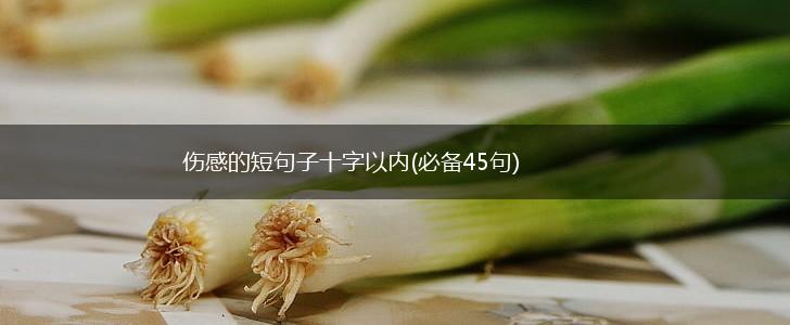 伤感的短句子十字以内(必备45句),第1张