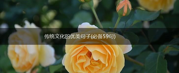 传统文化的优美句子(必备59句),第1张