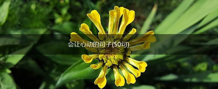 会让心动的句子(50句),第1张