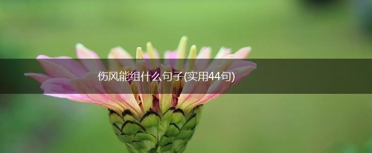 伤风能组什么句子(实用44句),第1张