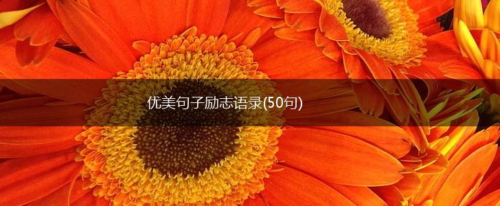 优美句子励志语录(50句),第1张