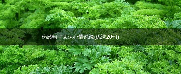 伤感句子表达心情说说(优选20句),第1张