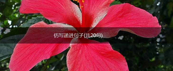 仿写递进句子(共20句),第1张
