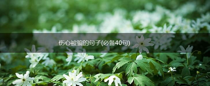伤心被骗的句子(必备40句),第1张