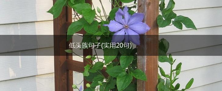 低头族句子(实用20句),第1张