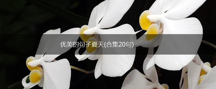 优美的句子夏天(合集20句),第1张
