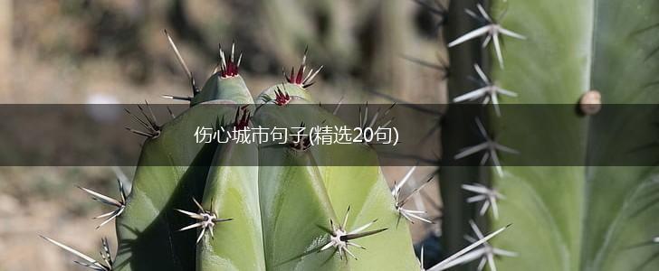 伤心城市句子(精选20句),第1张