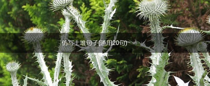 仿写土堆句子(通用20句),第1张