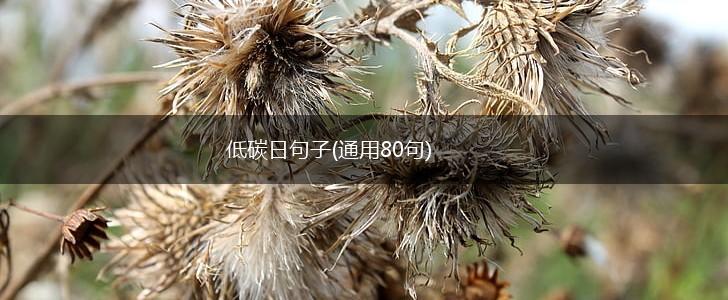 低碳日句子(通用80句),第1张