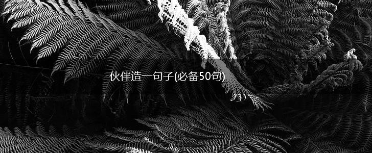伙伴造一句子(必备50句),第1张