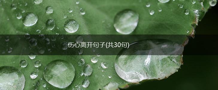 伤心离开句子(共30句),第1张