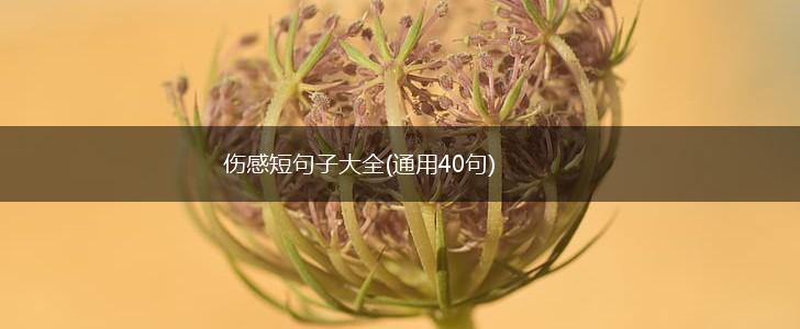 伤感短句子大全(通用40句),第1张