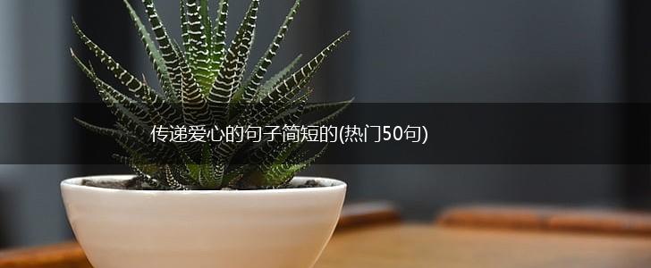 传递爱心的句子简短的(热门50句),第1张