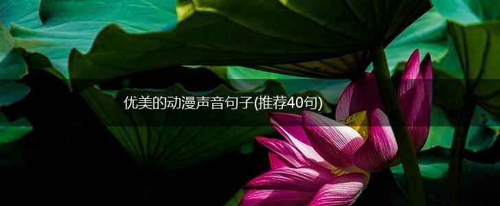 优美的动漫声音句子(推荐40句),第1张