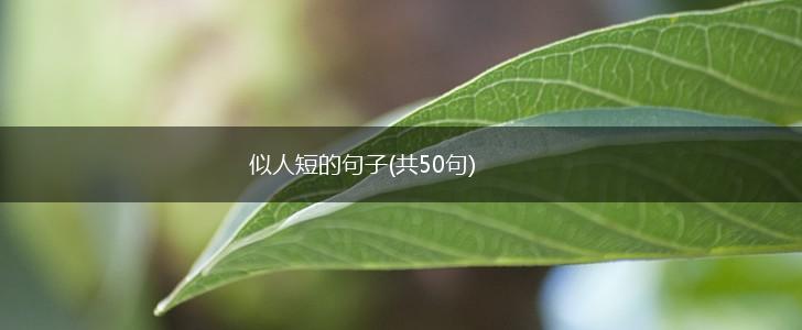 似人短的句子(共50句),第1张