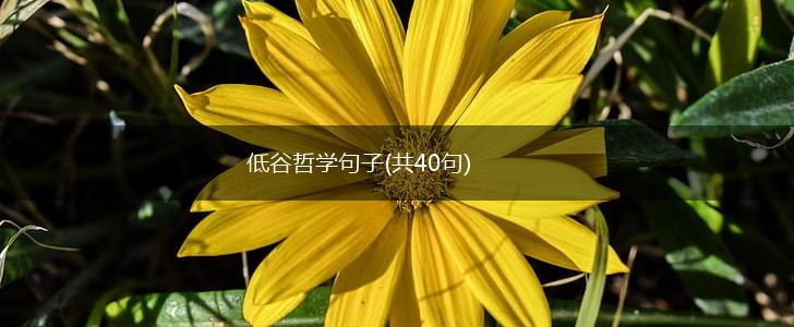低谷哲学句子(共40句),第1张