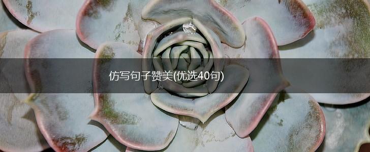 仿写句子赞美(优选40句),第1张