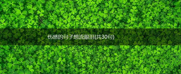 伤感的句子想流眼泪(共30句),第1张