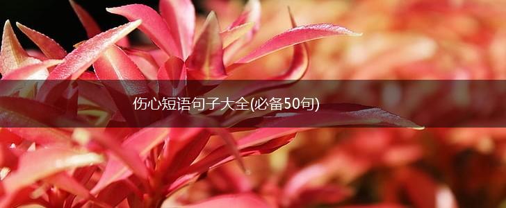 伤心短语句子大全(必备50句),第1张