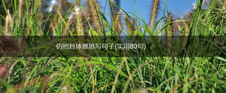 仿照具体意思写句子(实用80句),第1张