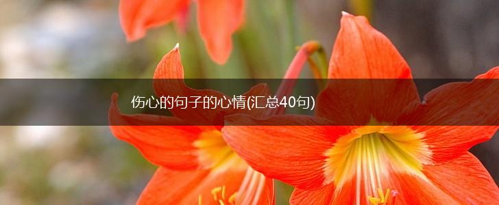 伤心的句子的心情(汇总40句),第1张