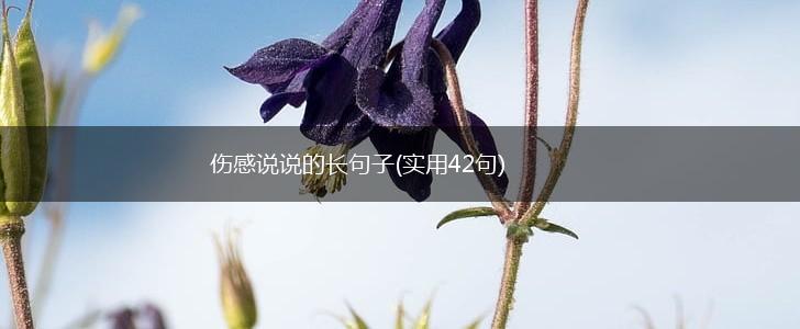 伤感说说的长句子(实用42句),第1张