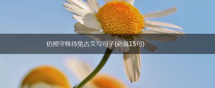 仿照守株待兔古文写句子(必备15句),第1张
