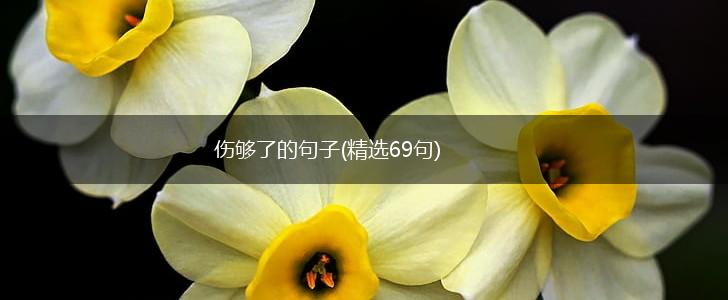 伤够了的句子(精选69句),第1张