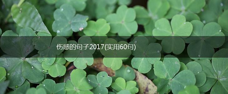 伤感的句子2017(实用60句),第1张