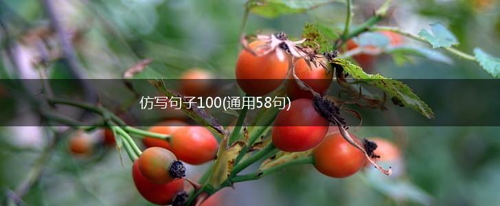 仿写句子100(通用58句),第1张