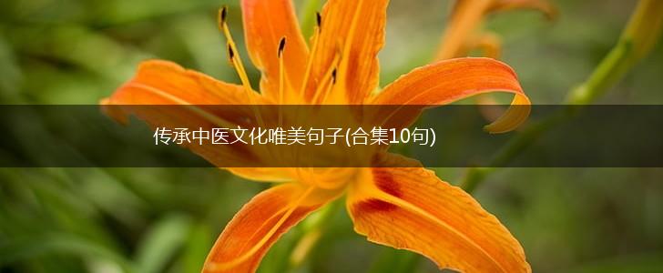 传承中医文化唯美句子(合集10句),第1张
