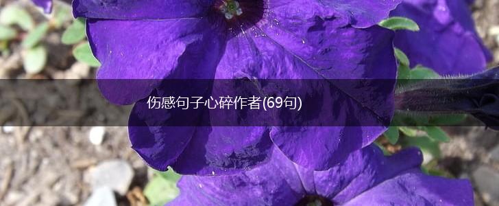 伤感句子心碎作者(69句),第1张
