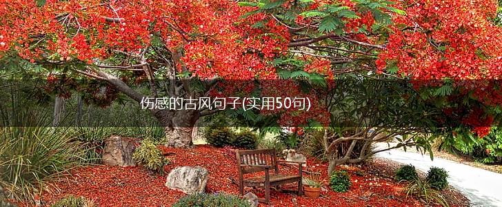 伤感的古风句子(实用50句),第1张